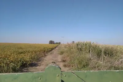 Foto 4 de COD-013: Entrada — Campo en venta en Pedanía Chazón, Ausonia