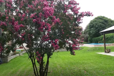 Foto 7 de COD-018: Parque — Casa en venta en Barrio Palermo, Villa María